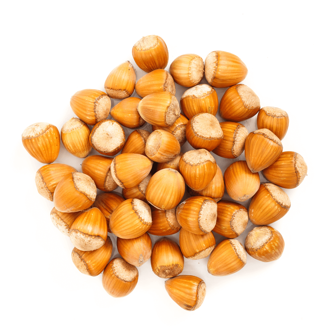 Noisette - البندق Agha