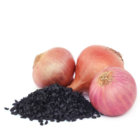Graines Oignon - بذور البصل Agha